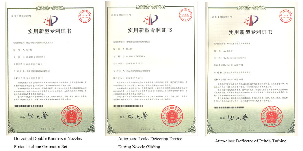 High Efficiency Professional Pelton Hydro Turbine Price Power Station