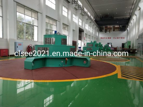 Vertical Shaft Warter Turbine Generator Hydro Power Station