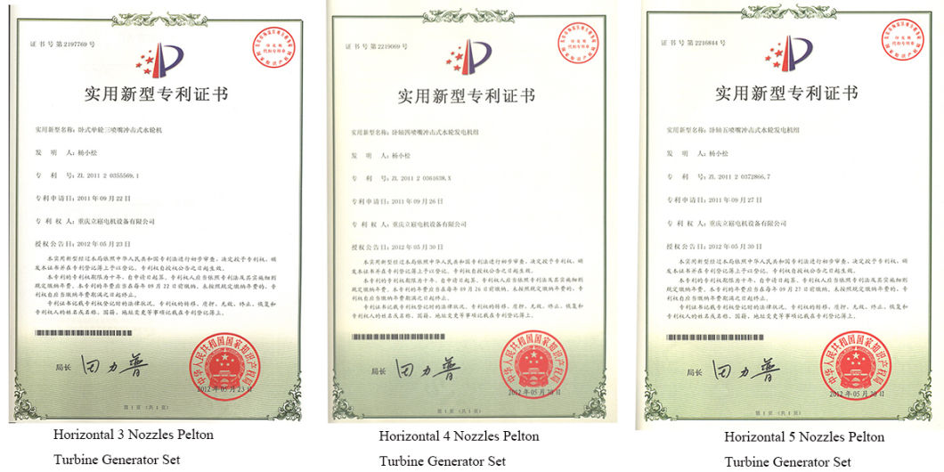 Single Nozzle Pelton Turbine /Hydro Turbine/Power Plant